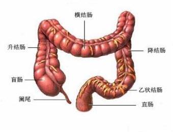 <b>[博爱.健康]博爱医院成功实施一直肠癌手术</b>